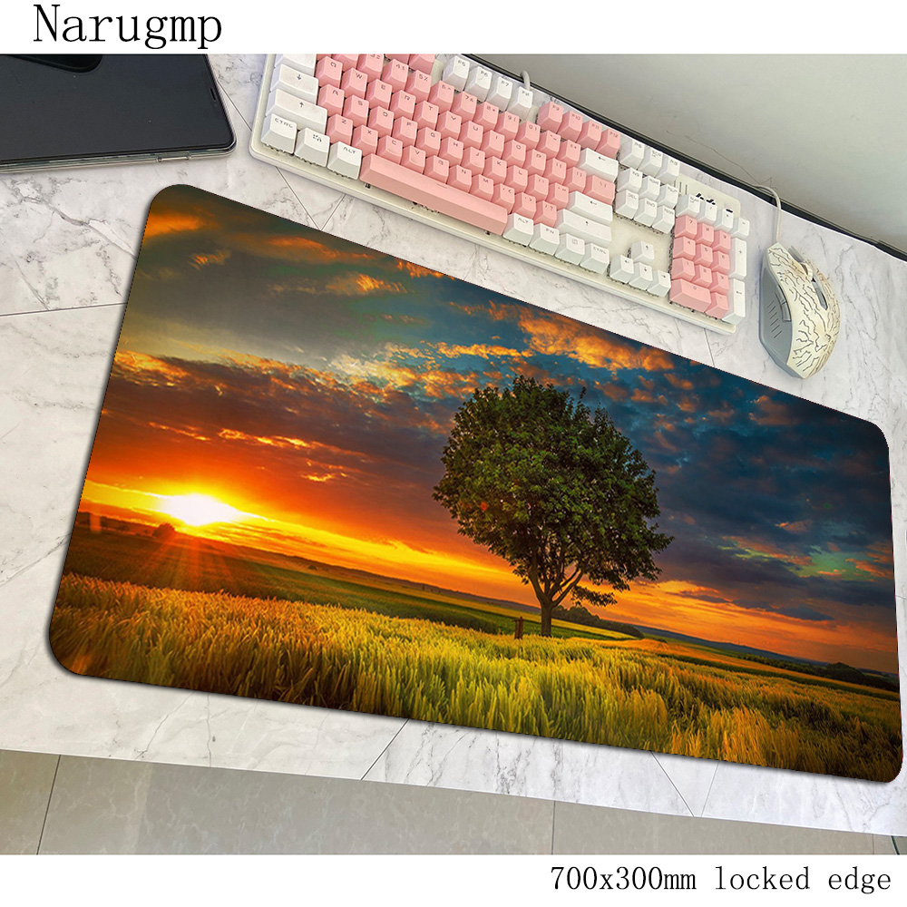Sunset Mouse Pad Beautiful Ani - مراجعة Pc Gaming World Of Warcraft وسعره